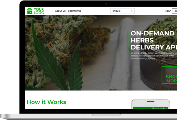 cannabis producing countries