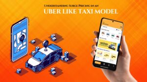 uber like taxi model